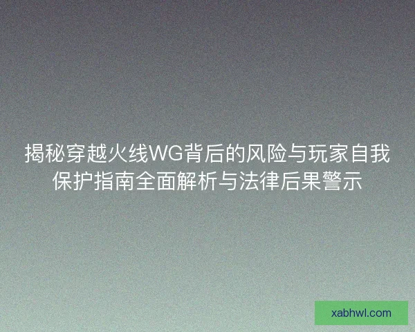 揭秘穿越火线WG背后的风险与玩家自我保护指南全面解析与法律后果警示