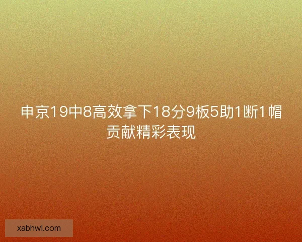 申京19中8高效拿下18分9板5助1断1帽贡献精彩表现