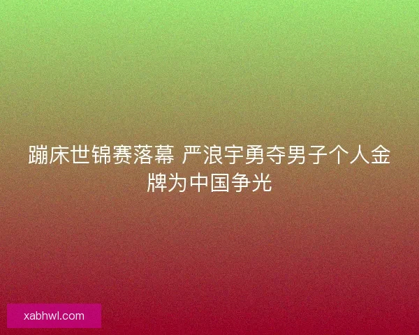 蹦床世锦赛落幕 严浪宇勇夺男子个人金牌为中国争光
