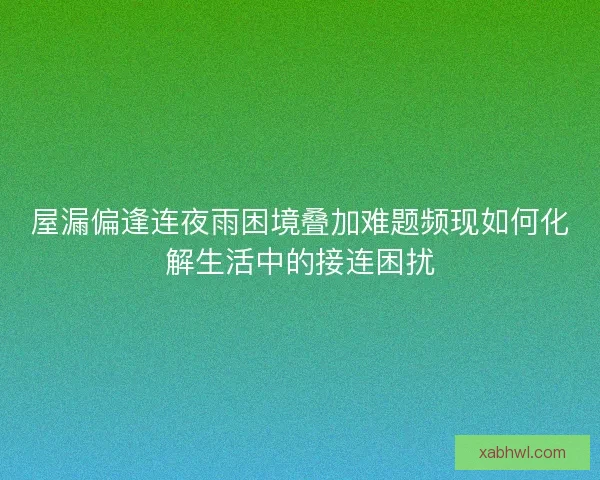屋漏偏逢连夜雨困境叠加难题频现如何化解生活中的接连困扰